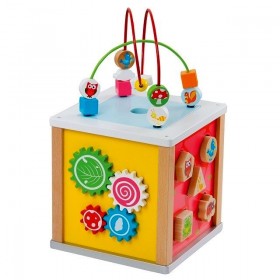 Cub cu 5 activitati - New Classic Toys