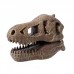 Kit de sapat - Craniu T-Rex - Buki France