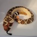 Sarpe Western Diamondback - Jucarie Plus Wild Republic 141 cm