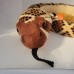 Sarpe Western Diamondback - Jucarie Plus Wild Republic 141 cm