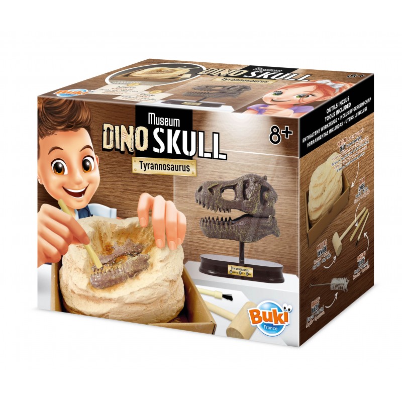 Kit de sapat - Craniu T-Rex - Buki France